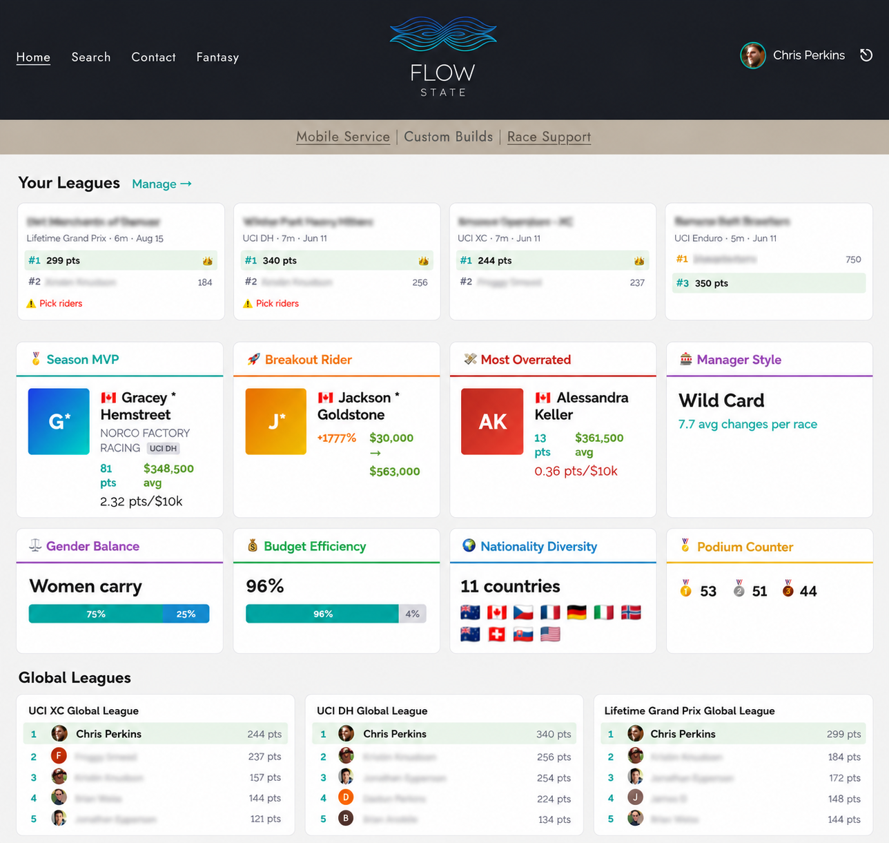 Dashboard with stats and leagues